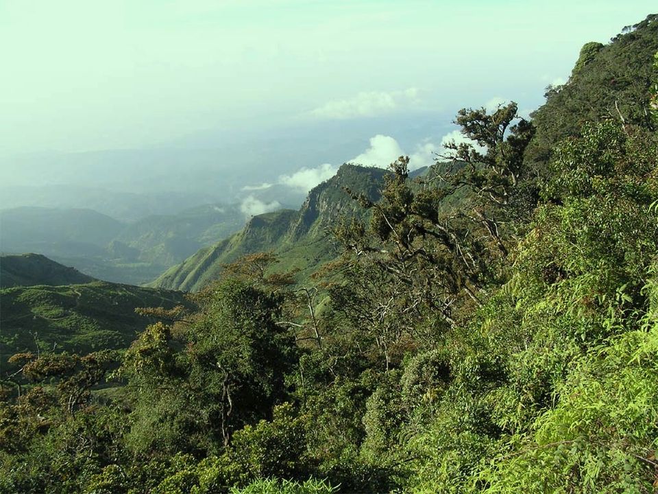 Horton Plains
