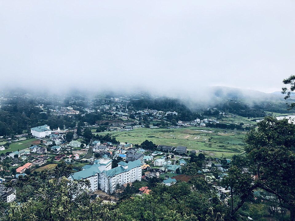 Tea Plantations